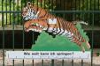 Thumbnail img_3896.jpg 