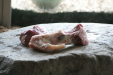 Thumbnail img_3897.jpg 