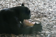 Thumbnail img_3898.jpg 