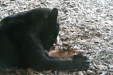 Thumbnail img_3901.jpg 