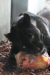 Thumbnail img_3905.jpg 