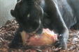 Thumbnail img_3909.jpg 