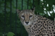 Thumbnail img_3921.jpg 