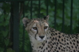 Thumbnail img_3922.jpg 