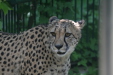 Thumbnail img_3927.jpg 