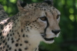 Thumbnail img_3931.jpg 