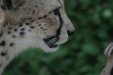 Thumbnail img_3932.jpg 