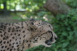 Thumbnail img_3933.jpg 