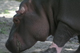 Thumbnail img_3940.jpg 