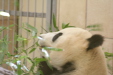 Thumbnail img_3944.jpg 