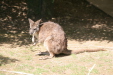 Thumbnail img_3946.jpg 