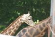 Thumbnail img_3951.jpg 