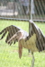 Thumbnail img_3953.jpg 