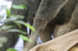 Thumbnail img_3956.jpg 