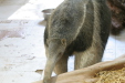 Thumbnail img_3958.jpg 