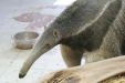 Thumbnail img_3959.jpg 