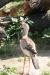 Thumbnail img_3964.jpg 