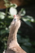 Thumbnail img_3966.jpg 