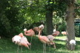 Thumbnail img_3967.jpg 