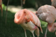 Thumbnail img_3968.jpg 