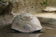 Thumbnail img_3984.jpg 
