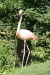 Thumbnail img_3985.jpg 