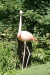 Thumbnail img_3986.jpg 