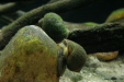 Thumbnail img_3987.jpg 
