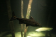 Thumbnail img_3992.jpg 