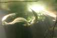 Thumbnail img_3993.jpg 