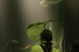 Thumbnail img_3995.jpg 