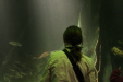 Thumbnail img_3996.jpg 