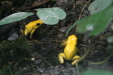 Thumbnail img_4001.jpg 