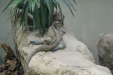 Thumbnail img_4007.jpg 