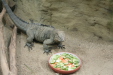 Thumbnail img_4011.jpg 
