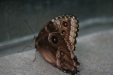 Thumbnail img_4013.jpg 