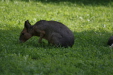 Thumbnail img_4022.jpg 