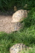 Thumbnail img_4025.jpg 