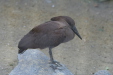 Thumbnail img_4028.jpg 