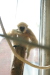 Thumbnail img_4035.jpg 