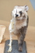 Thumbnail img_4036.jpg 