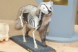 Thumbnail img_4037.jpg 