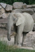 Thumbnail img_4039.jpg 