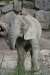 Thumbnail img_4040.jpg 
