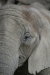 Thumbnail img_4041.jpg 