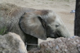 Thumbnail img_4051.jpg 