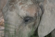 Thumbnail img_4053.jpg 