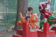 Thumbnail img_4055.jpg 