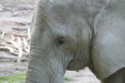 Thumbnail img_4064.jpg 