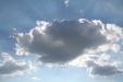 Thumbnail img_4071.jpg 